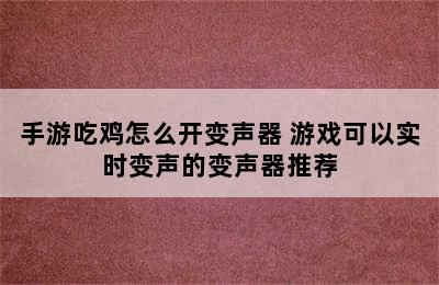 手游吃鸡怎么开变声器 游戏可以实时变声的变声器推荐